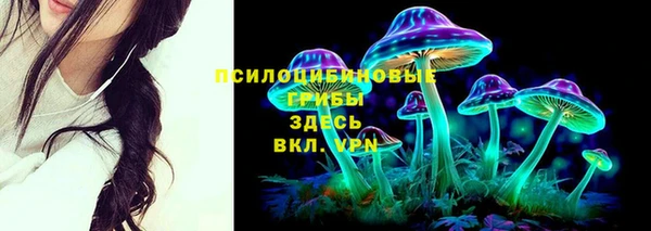 гидра Алексеевка