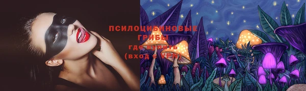 гидра Алексеевка