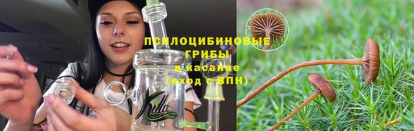 твердый Алзамай