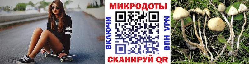 Галлюциногенные грибы мицелий  Ижевск 